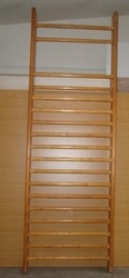 Školní žebřiny / ribstole 300x100cm